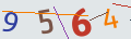 verifycode